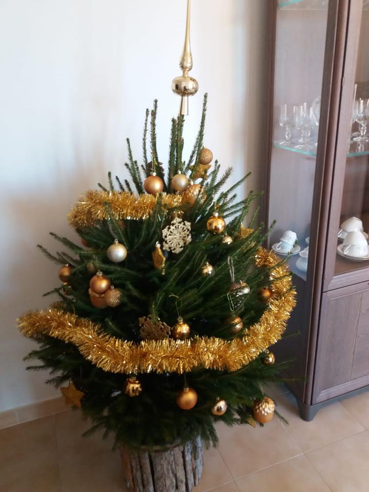 albero