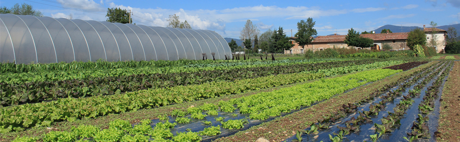 campo-produttori