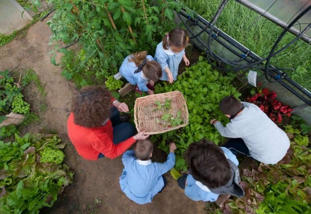 orto-a-scuola-bambini-slow-food-7-640x441
