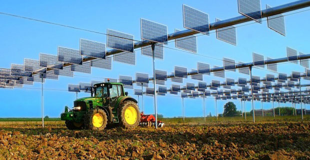Agrovoltaico-c
