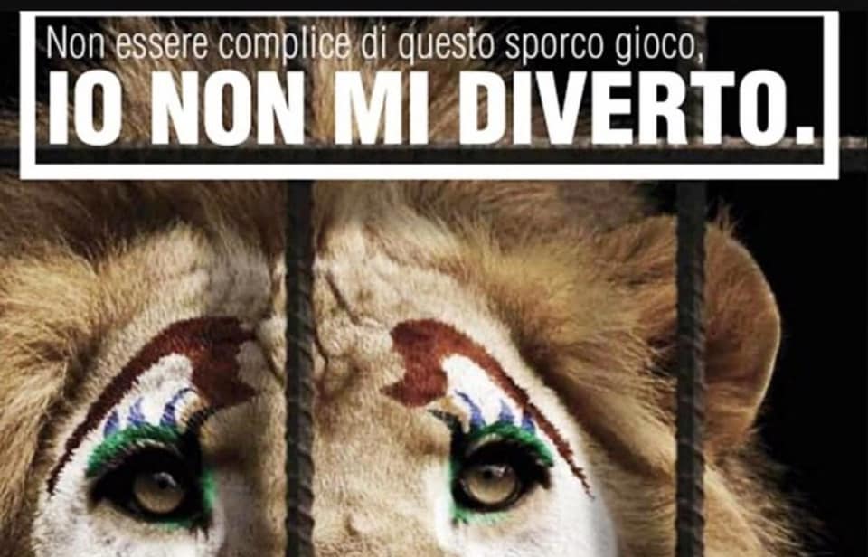 circo