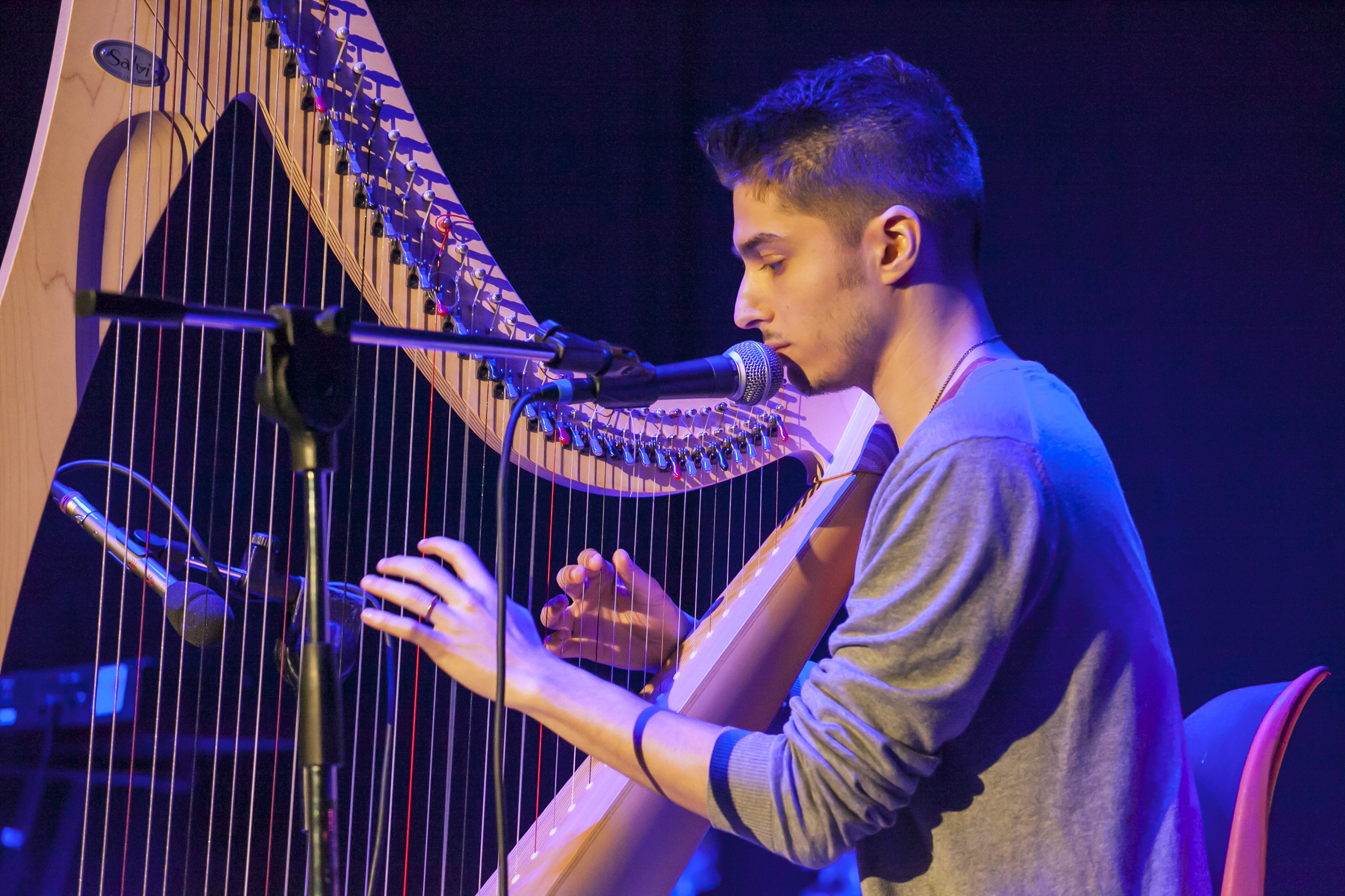 Dario Guidi Mini Festival 2015 b