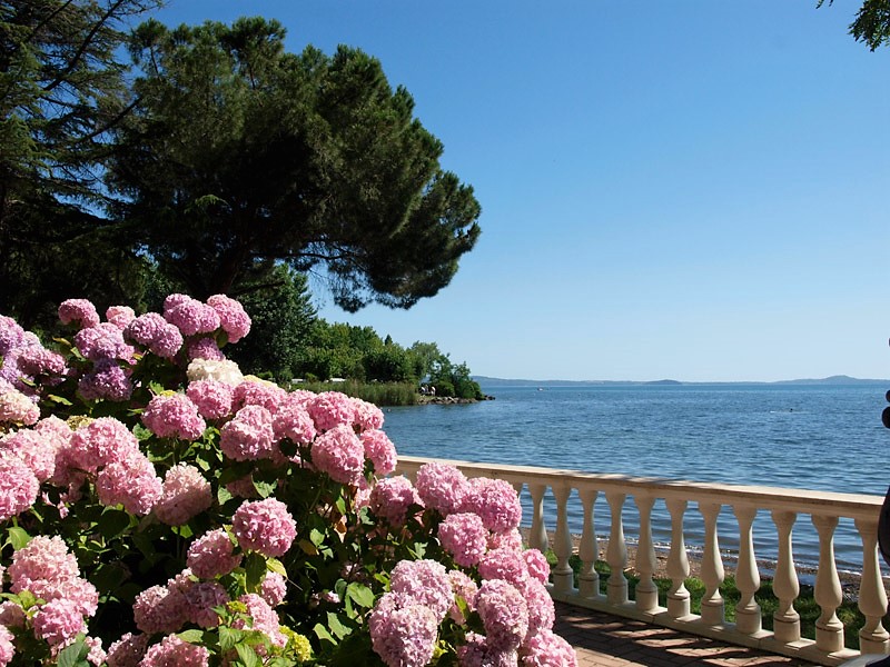 festa-delle-ortensie-bolsena