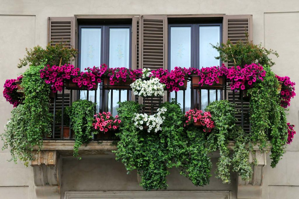 fiori-sul-balcone-1024x681