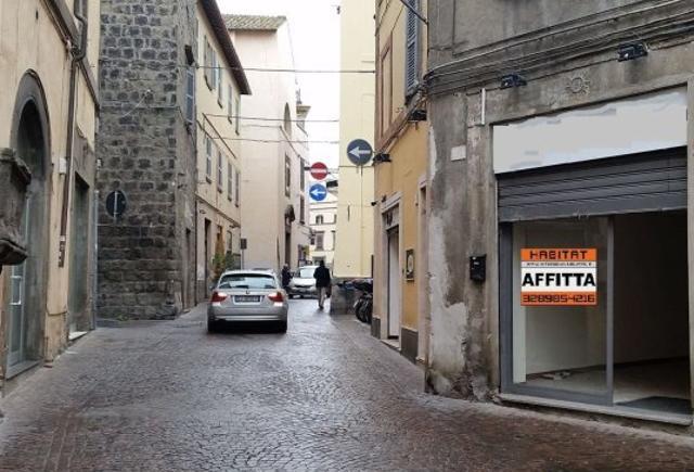 locale_commerciale_in_affitto_a_viterbo_via_saffi_3770058557667558968