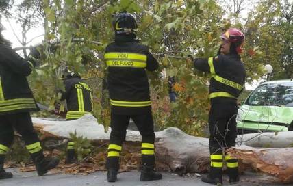 albero-si-spezza-in-via-saffi-2017-194516.660x368