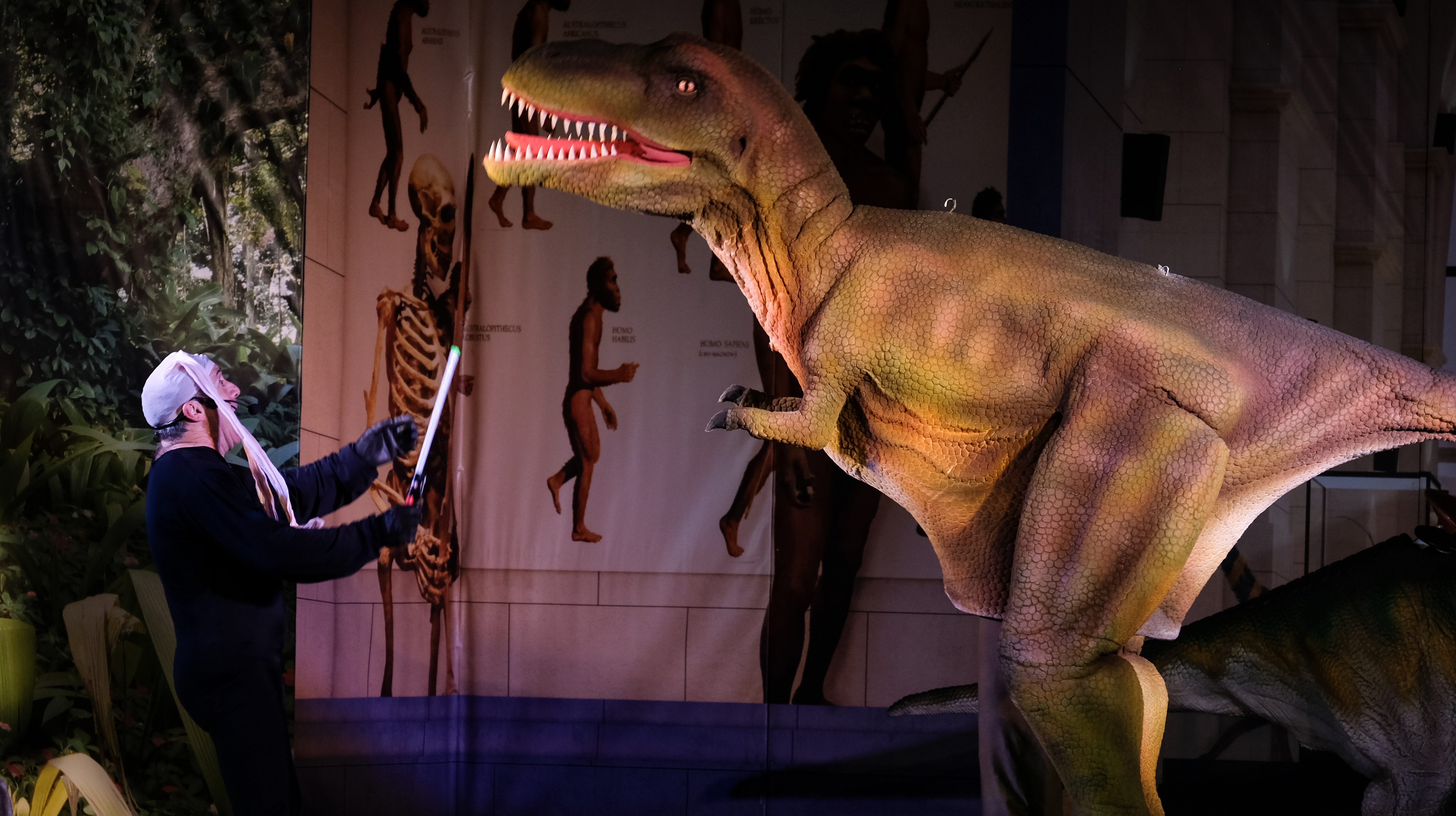 DinosauShow-469