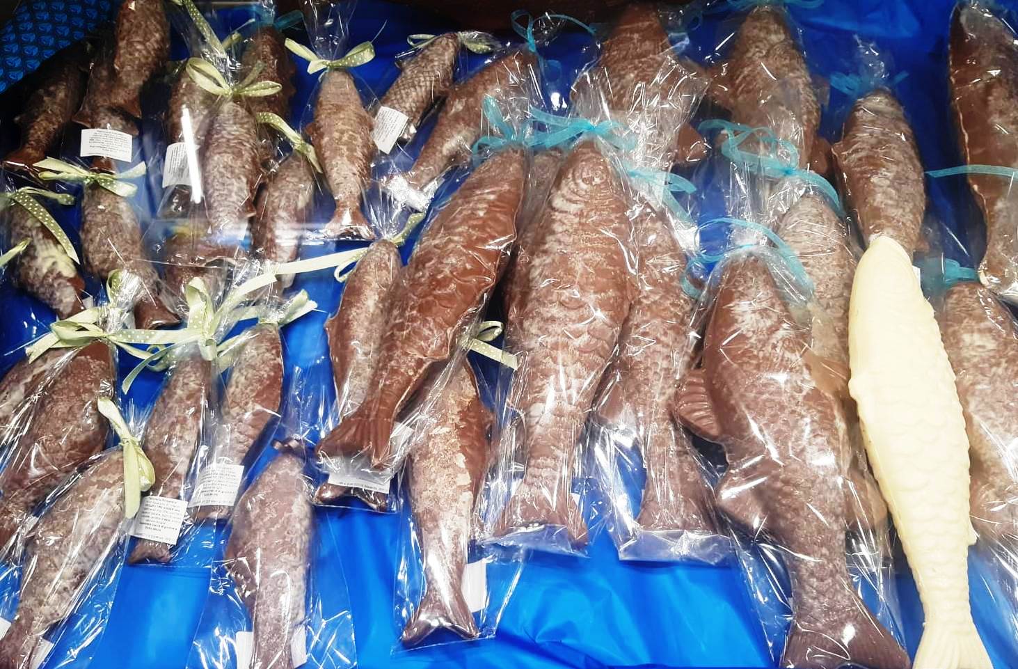 Il pesce modello Kinder della Pasticceria Primavera