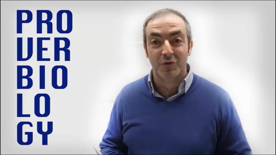 proverbi