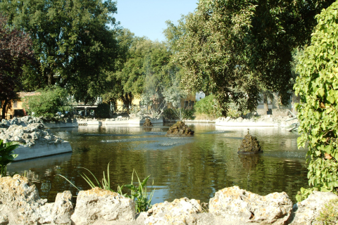 PRATO-GIARDINO