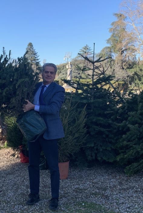 sindaco_consegna_albero_Natale