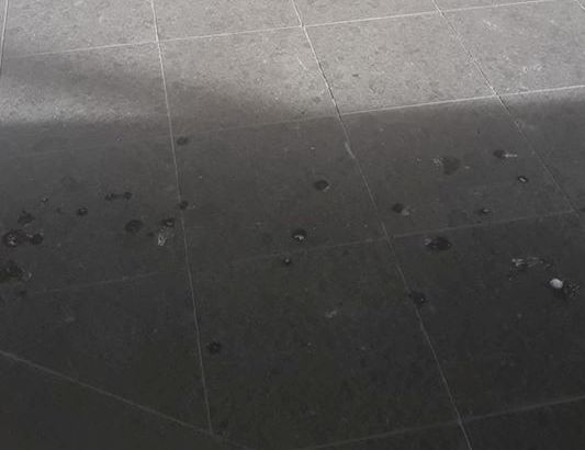 Copia di guano