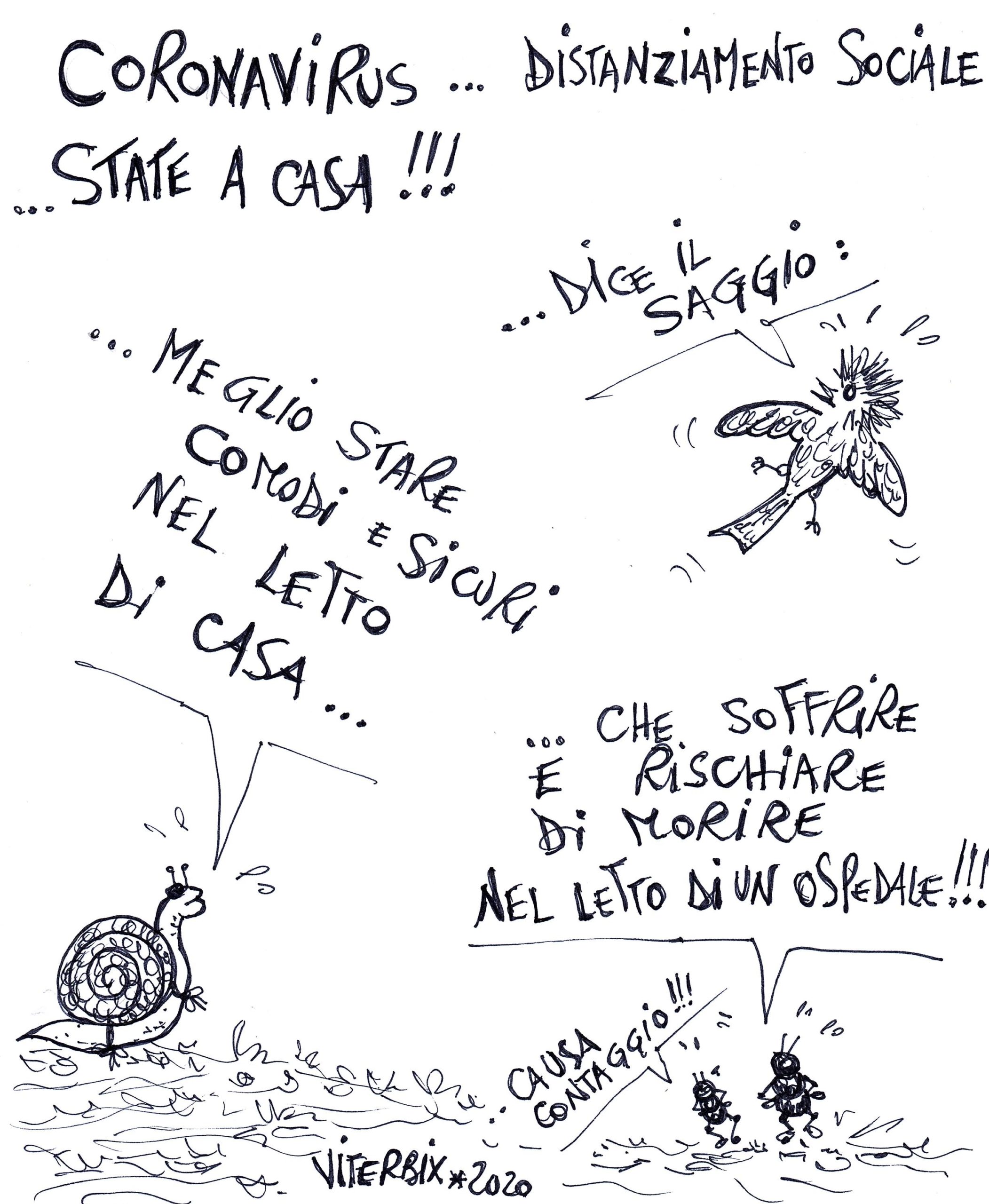 29.DICE.IL.SAGGIO
