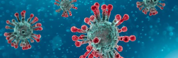 coronavirus 2