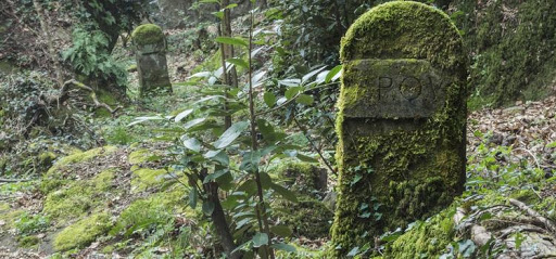 Riserva Naturale Valle dell'ArcionelloViterbo