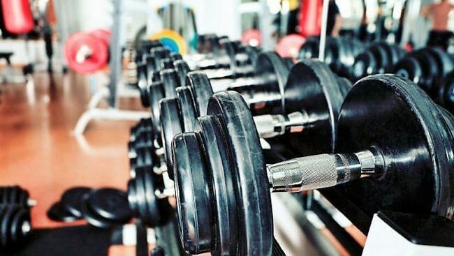 palestra-650x367