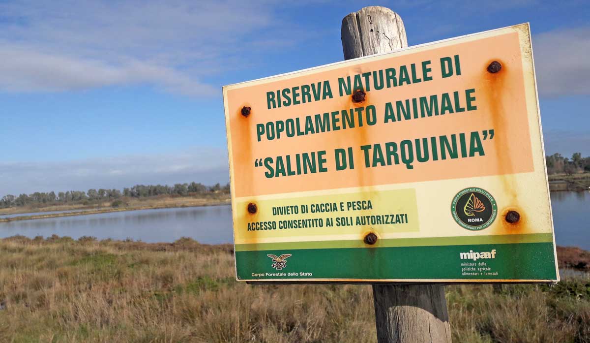 Foto-Riserva-Naturale-Salina-di-Tarquinia