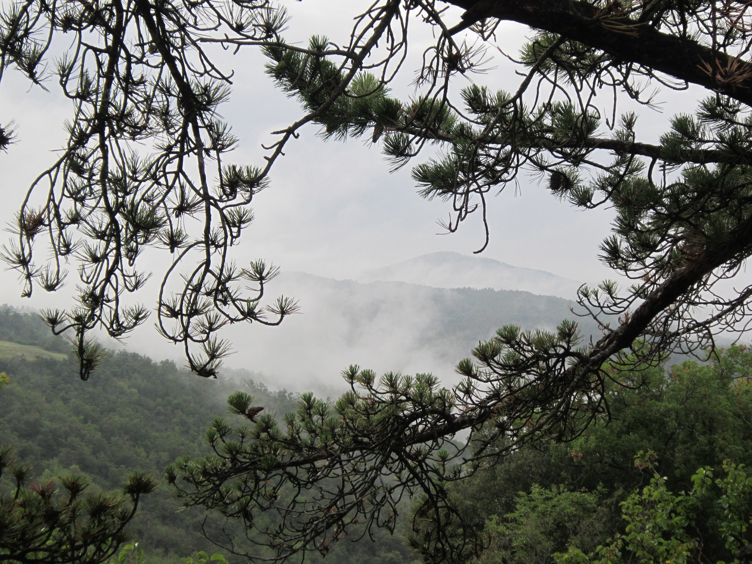monte rufeno