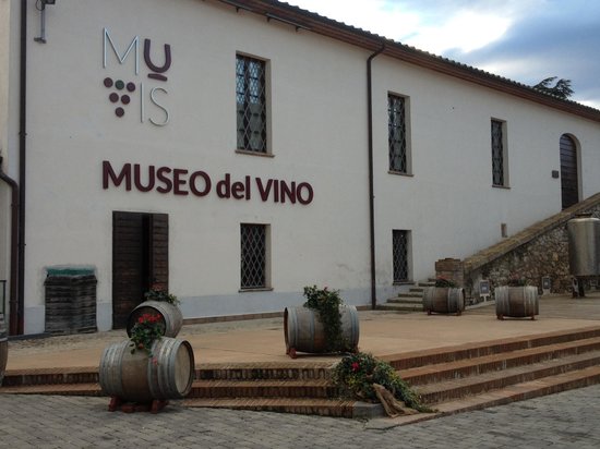 muvis-museo-del-vino