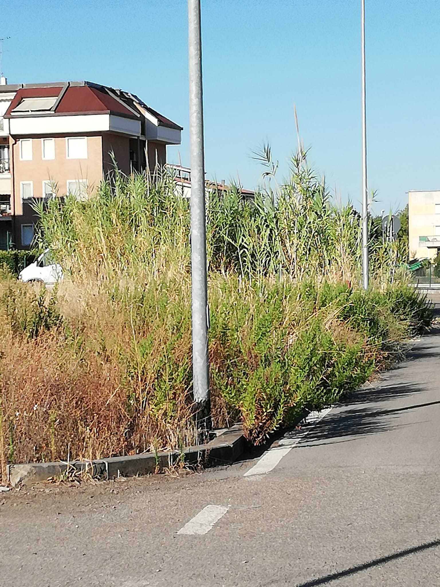 FOTO1