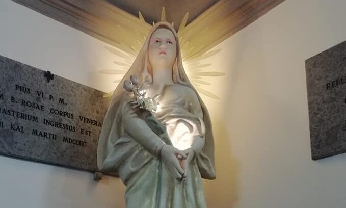 STATUA ROSA