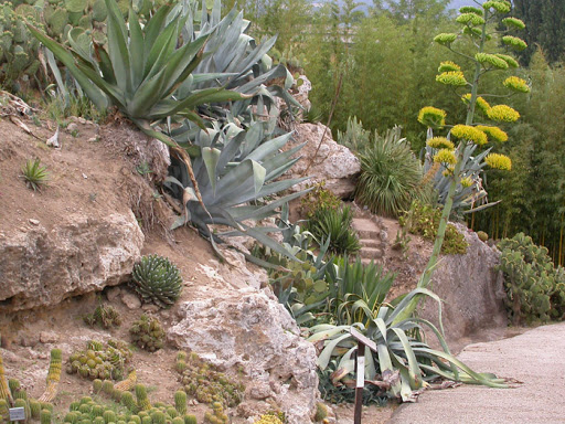 Orto botanico