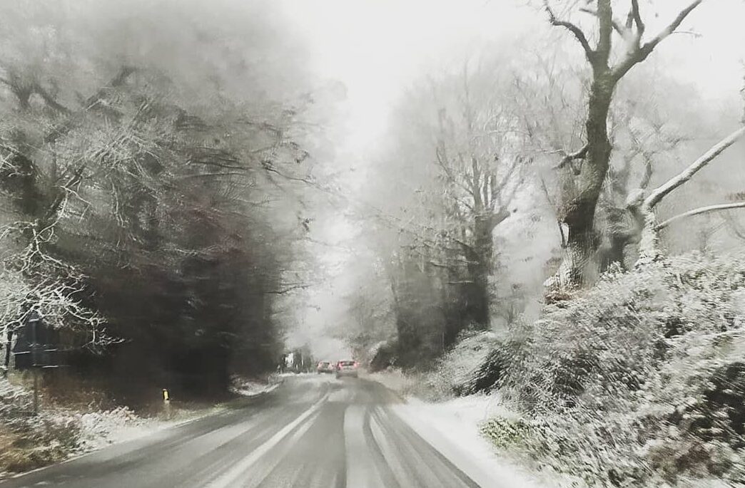 neve cimino