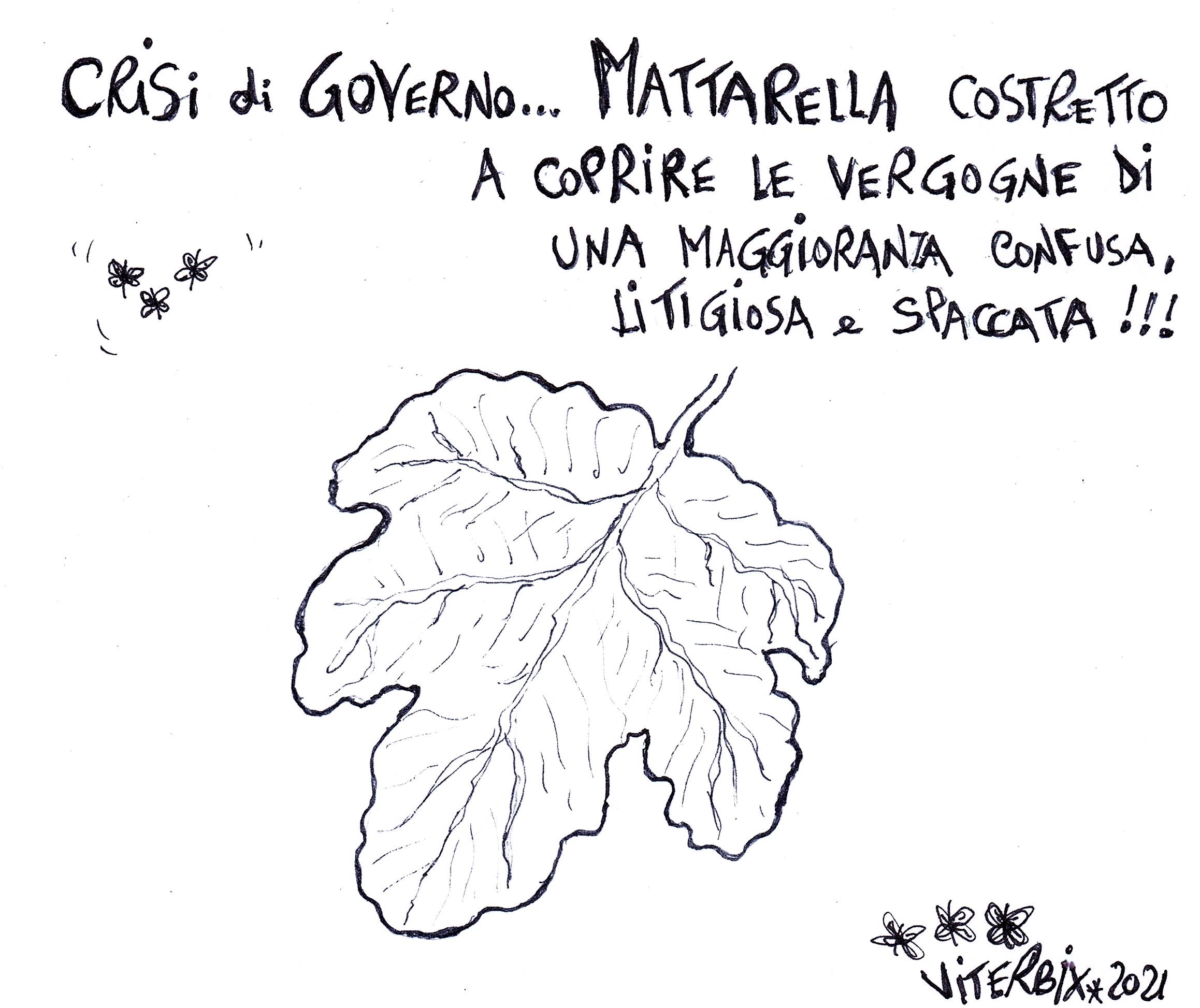 24.FOGLIA.DI.FICO