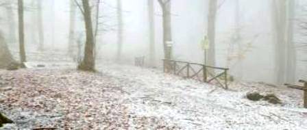 neve-2-330x140