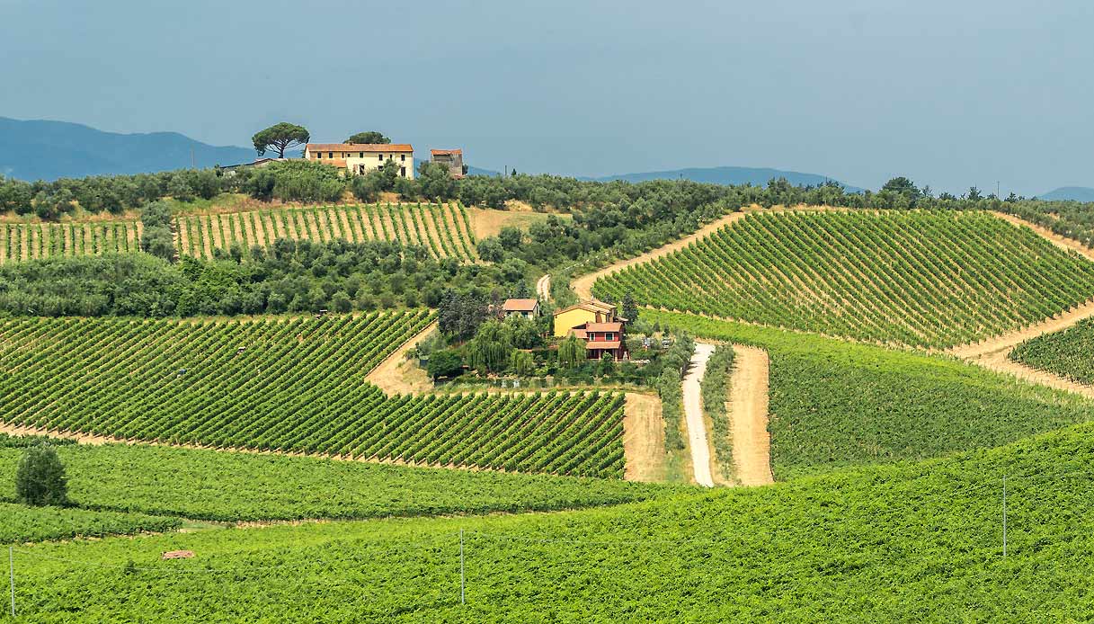vinci