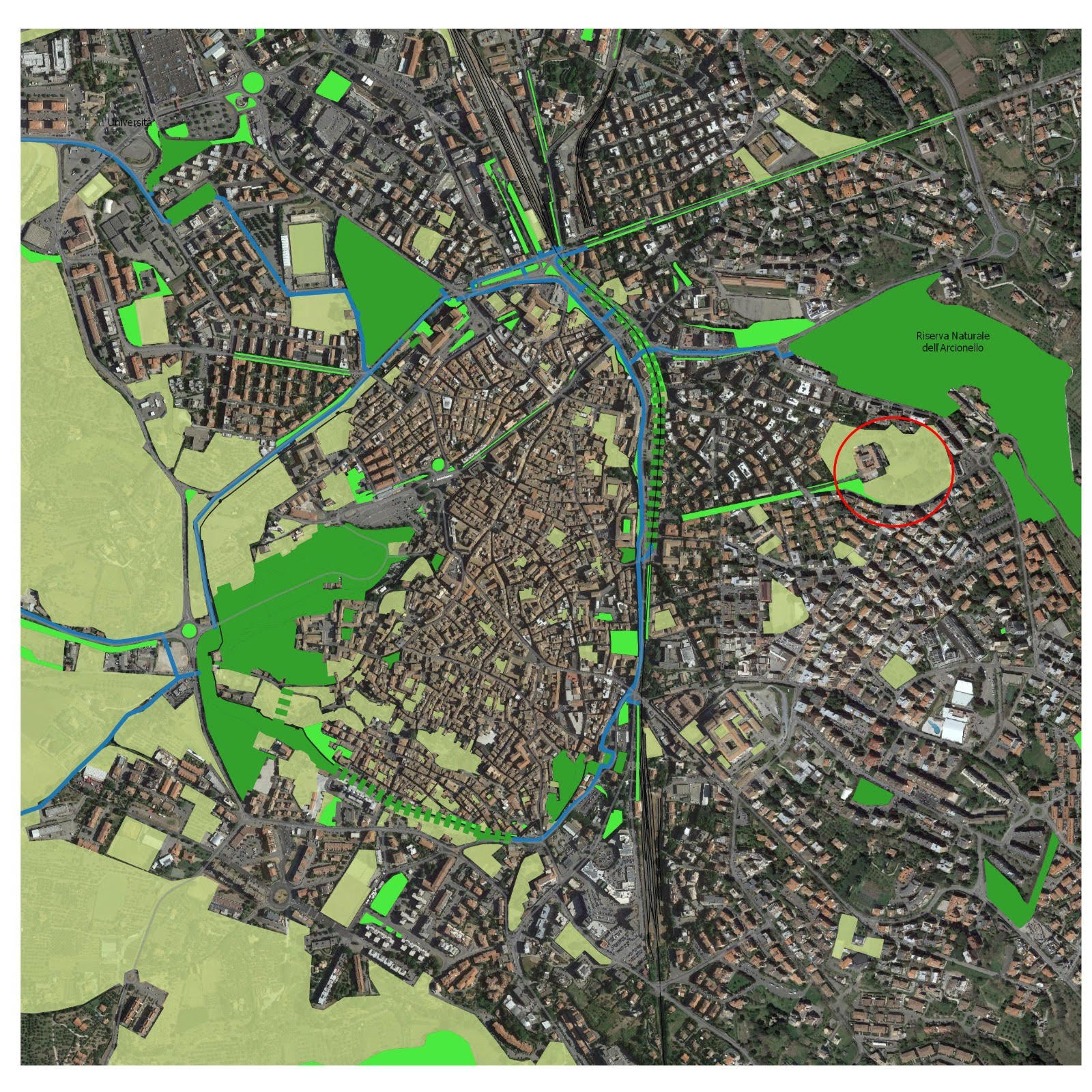 viterbo verde