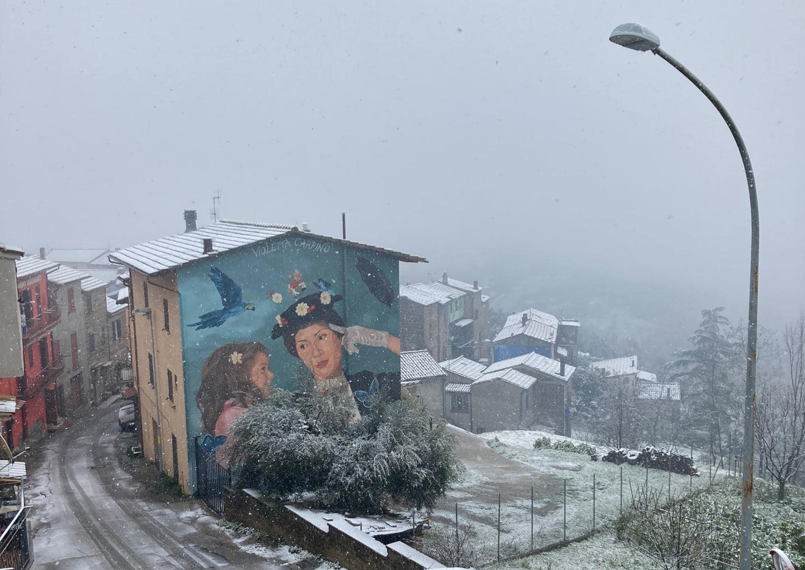 Neve a Latera