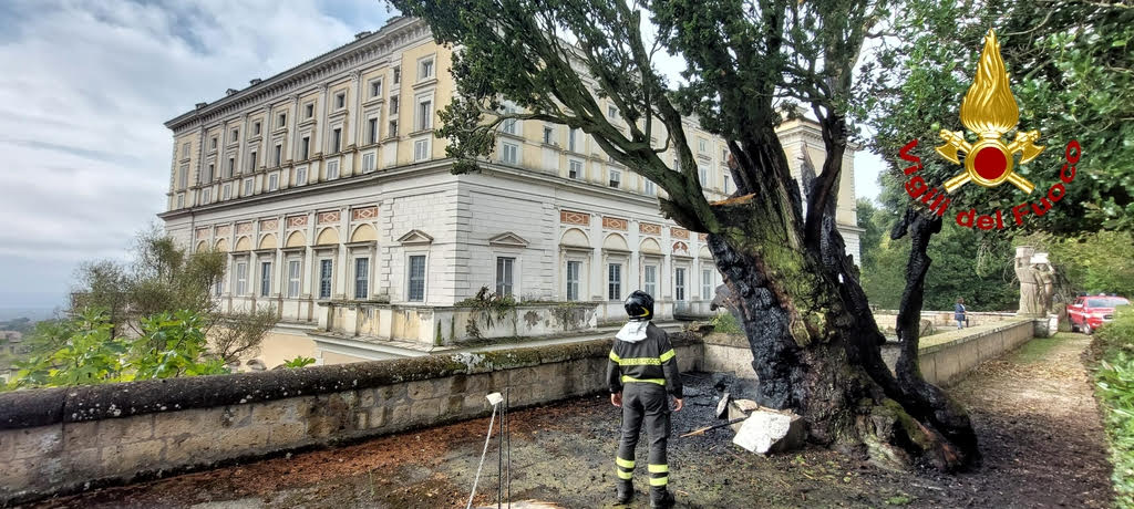 Foto albero colpito da fulmine Caprarola