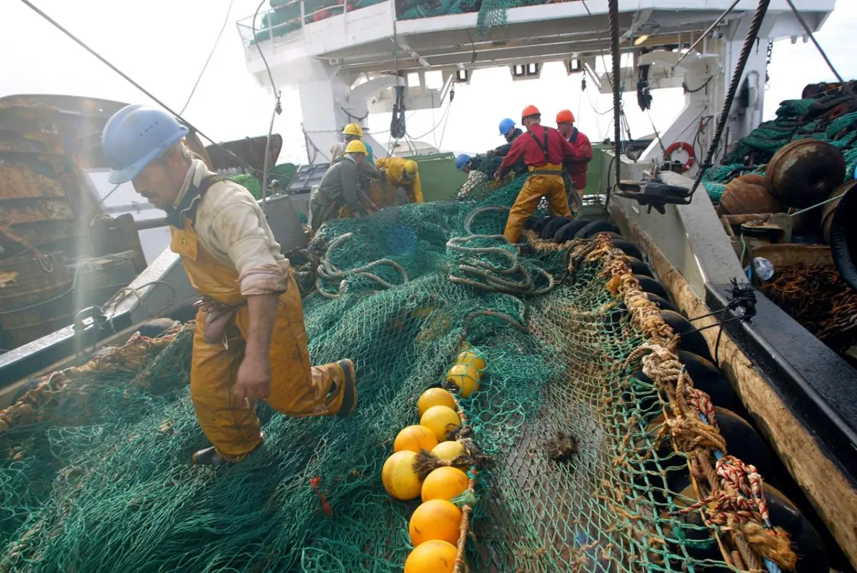 Foto pesca a strascico