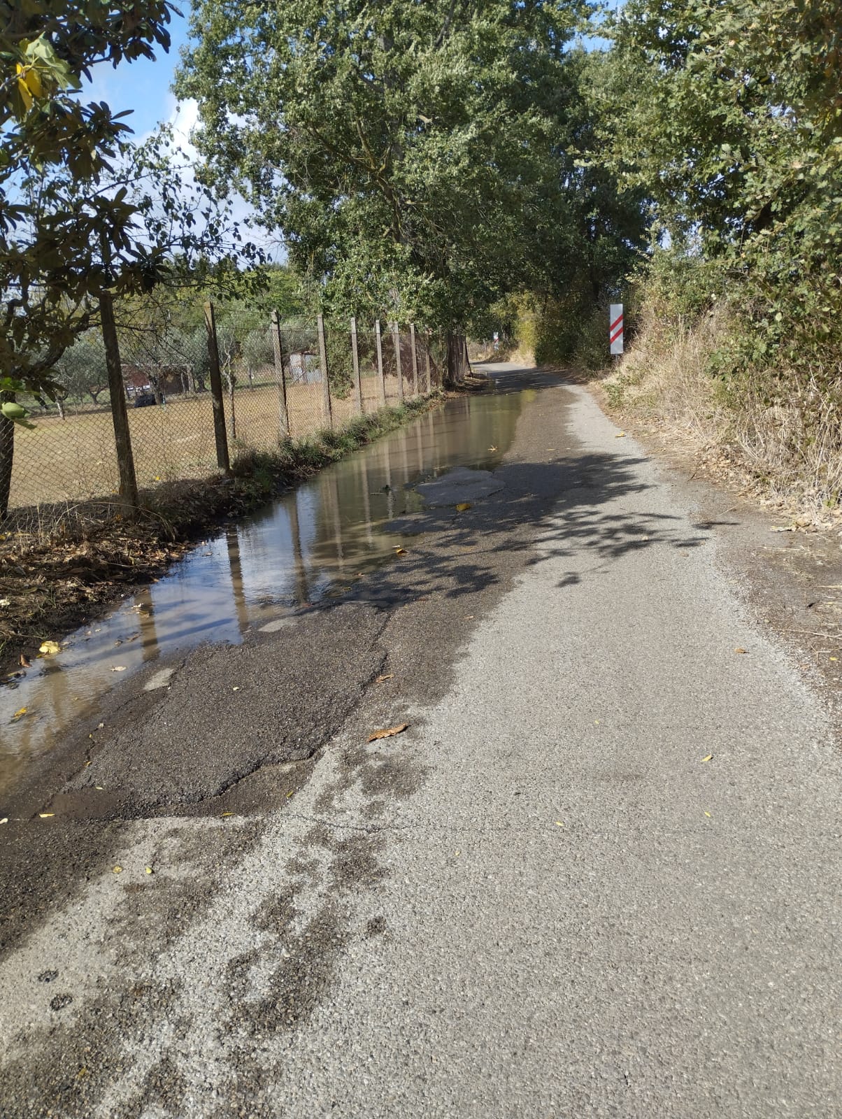 Foto Strada Mammagialla