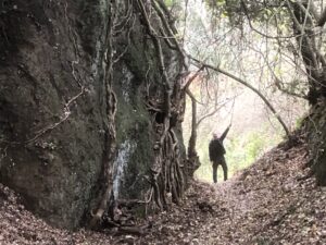 Il Cammino dei Tre Villaggi si ferma: “La natura ha bisogno di cura, i sentieri fragili chiudono per sicurezza”
