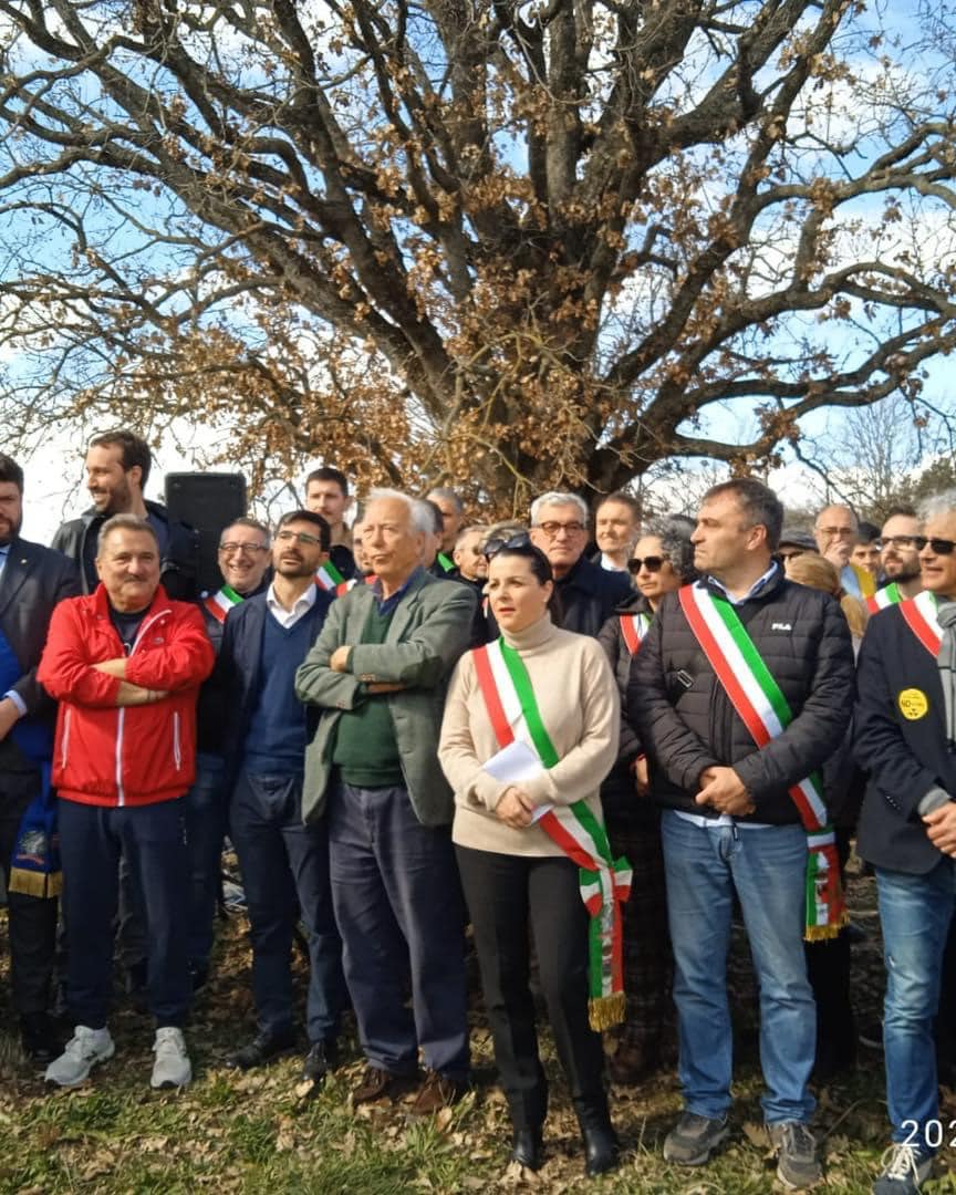 No nucleare 4