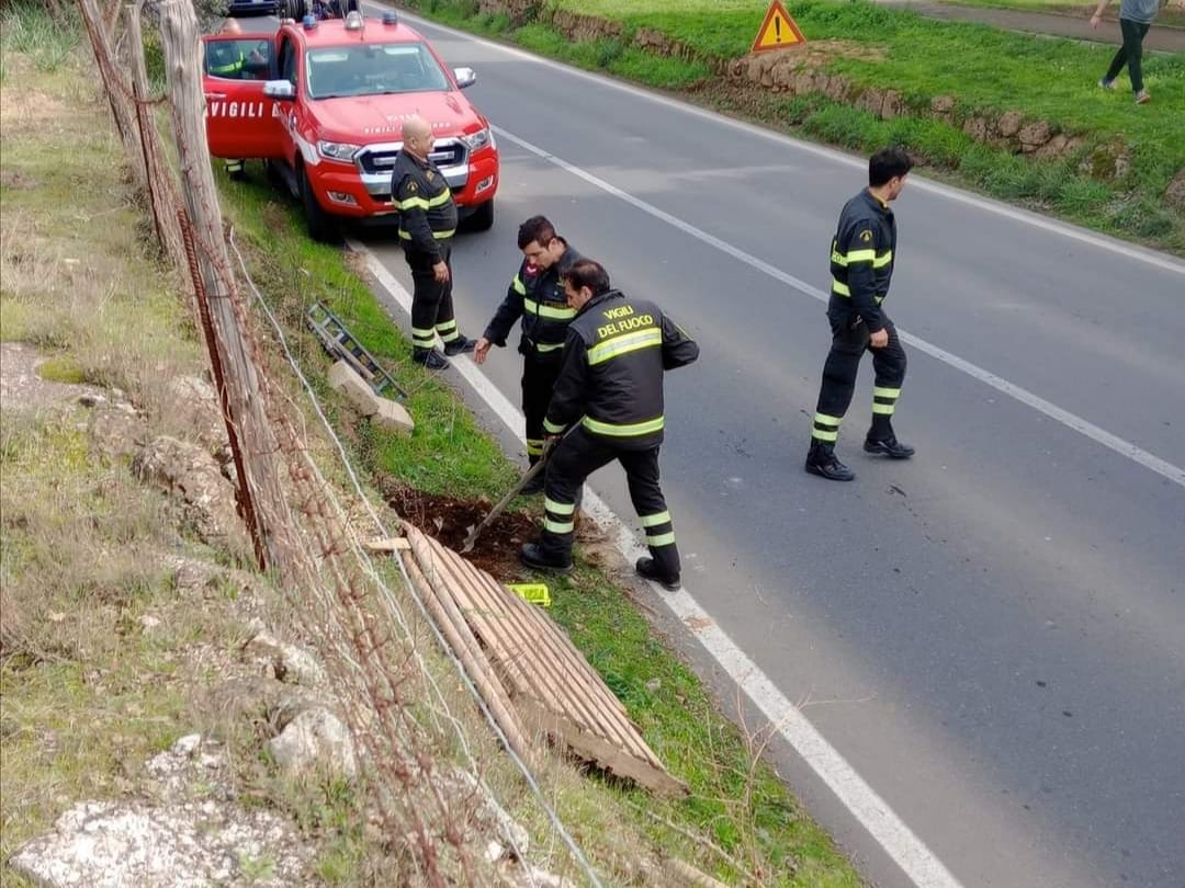 Foto vigili del Fuoco