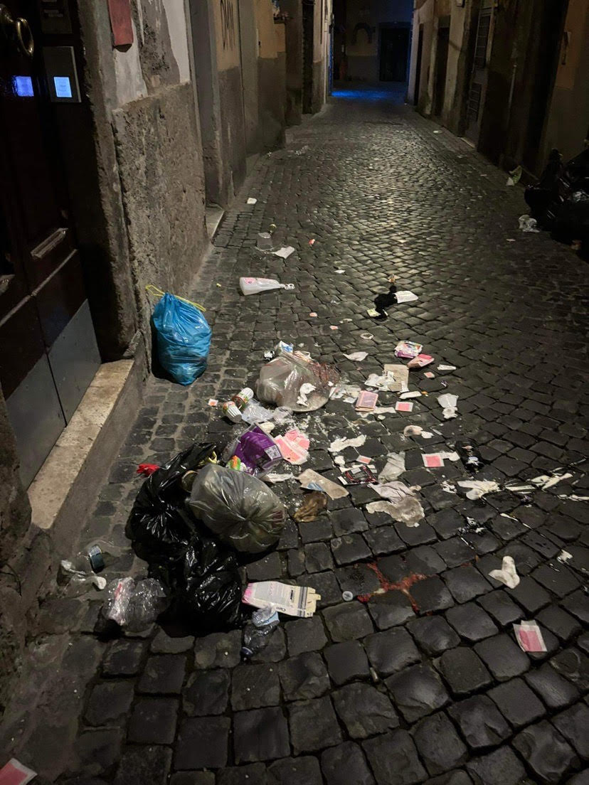 rifiuti su strada 3