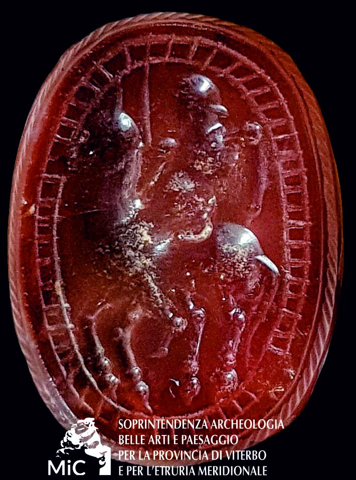 Foto scarabeo Barbarano Romano 1