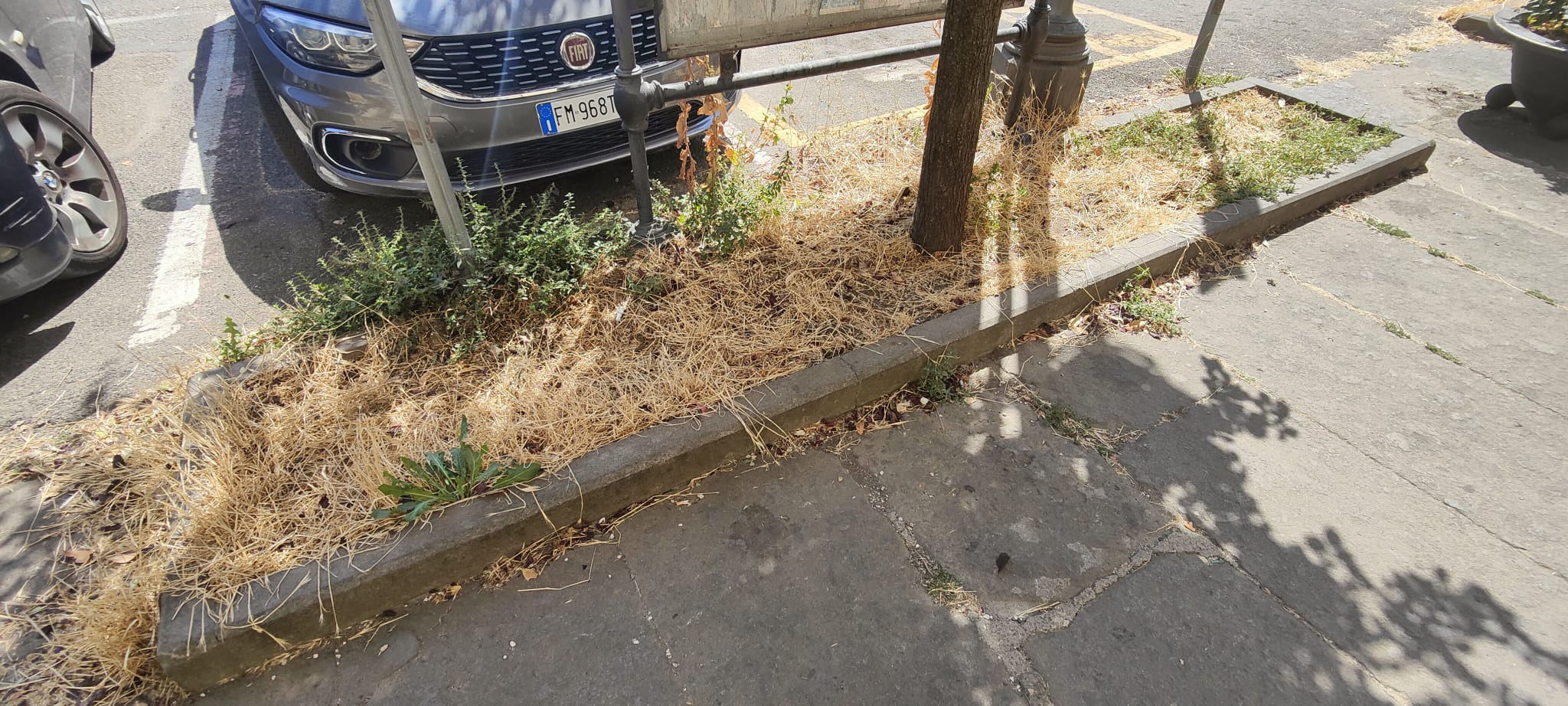 BAGNAIA_27_7_2024 (1)