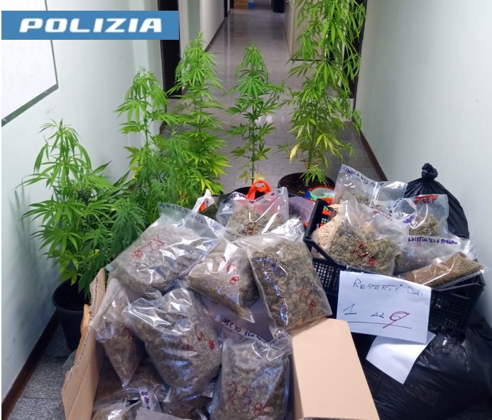 Foto droga sequestrata a Viterbo
