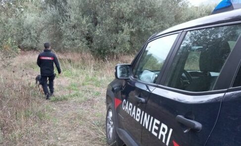 Carabinieri 2