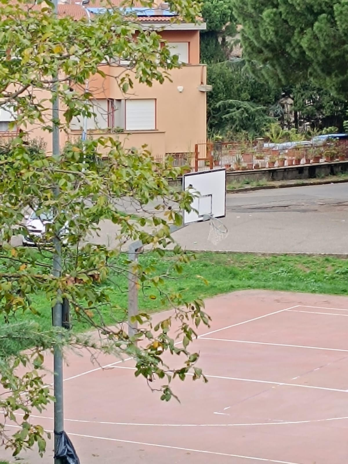 Foto campo da basket La Quercia
