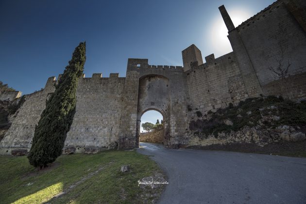 Tarquinia 06