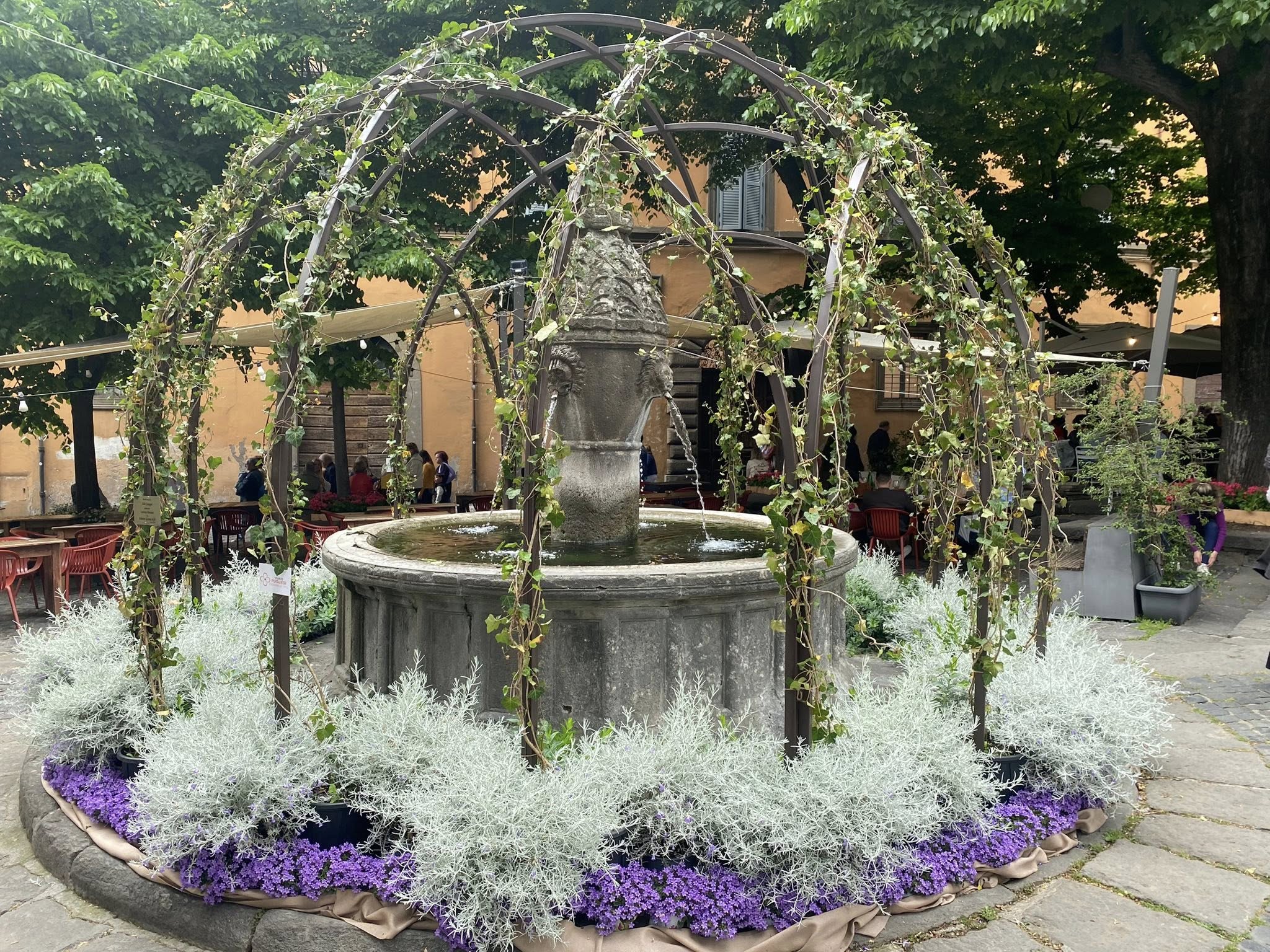 San Pellegrino in Fiore 2025 14
