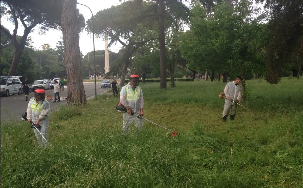protezione civile