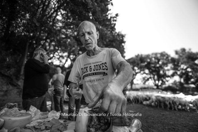DSC_7539_bn