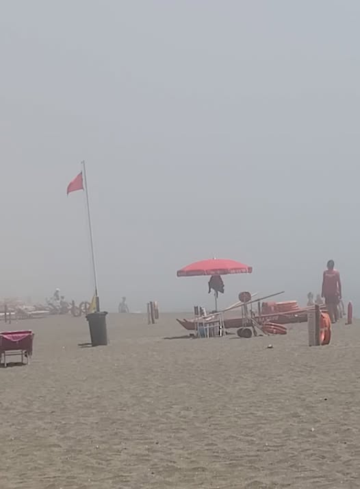 Lupa di mare
