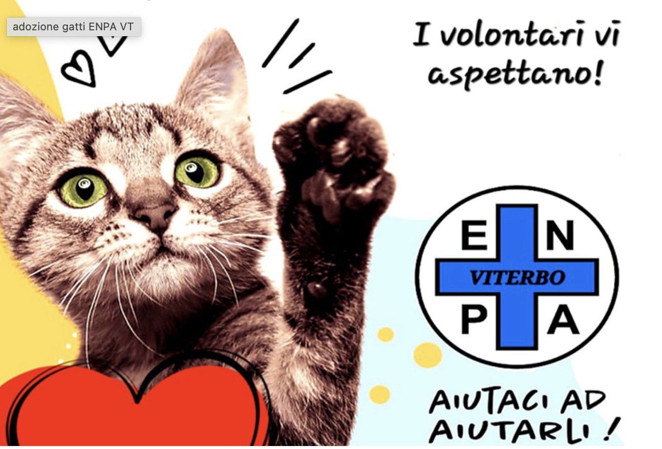 Enpa gatti